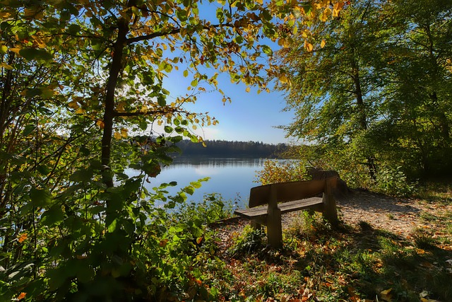 旅希望引進 旅希望引進