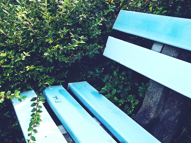 的巅峰之作 的巅峰之作