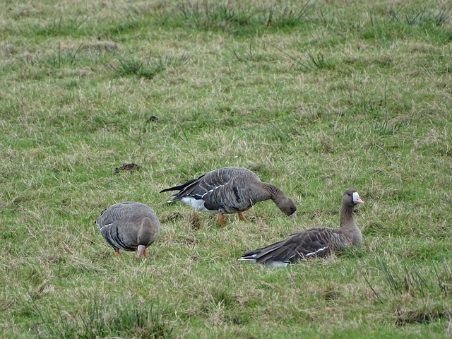 而喝水哥选 而喝水哥选